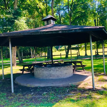 Campsite Camping Des Neufs Pres Vielsalm